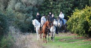 Excursiones a caballo por la sierra de Borriol