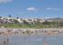 Playa Romana Alcossebre