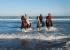 Excursiones a caballo por la playa