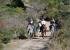 Excursiones a caballo por senderos
