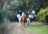 Excursiones a caballo en Castellón