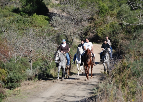 Casa Nuri de Rei La Pobla Tornesa, Excursiones a caballo