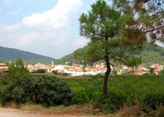 Casa Nuri de Rei La Pobla Tornesa