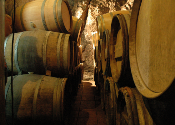 Actividades de la zona . Visita bodegas