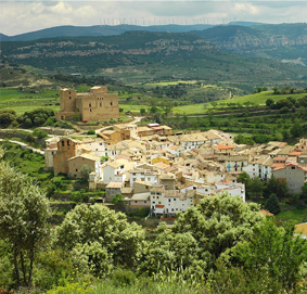 La zona - pobla tornesa